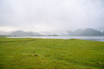 想知道泡泡胶有毒性吗？