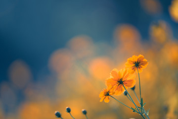 淘宝合并付款后可以退掉其中一个吗