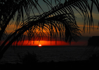 怎么开启面容支付