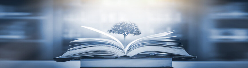 创新对国家和个人的意义