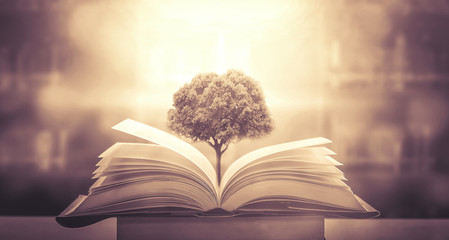 徐州到和菏泽有多远-