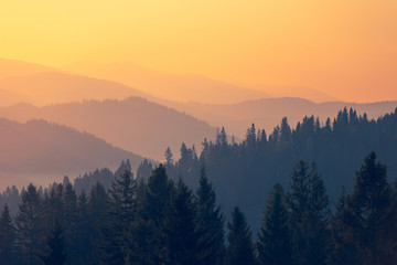 谁知道中国建筑业100强排行榜