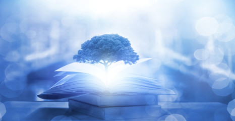 哪些学校招收春季高考学生