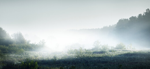 多力葵花籽油好吗