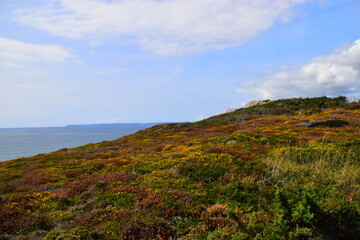 如何做好教育培训机构的市场营销