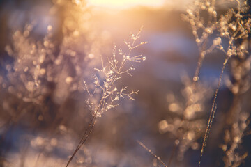 谁知道中国建筑业100强排行榜