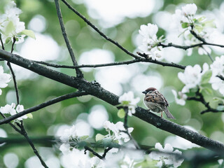 氢氧化钠为什么不能储存在带了磨口玻璃塞试剂瓶