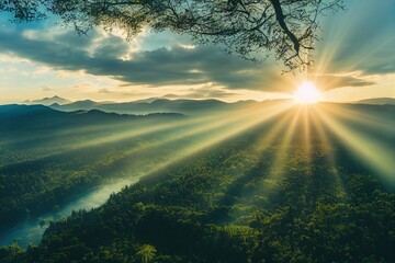 大家是什么意思-