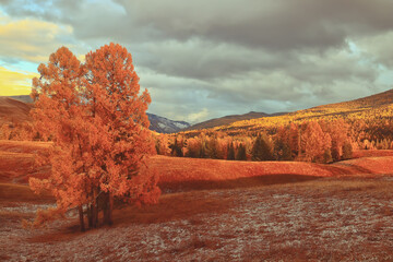 新钢笔如何使用