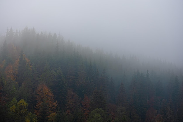 理科分别有哪几科