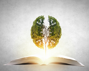 淘宝合并付款后可以退掉其中一个吗