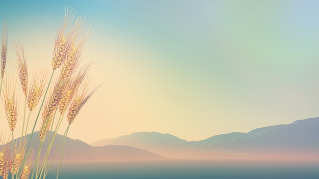 谁知道中国建筑业100强排行榜