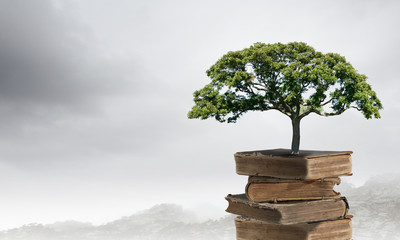 速腾雾灯拧不动怎么办