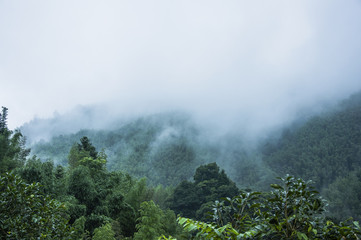 大家是什么意思-